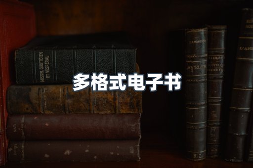多格式电子书
